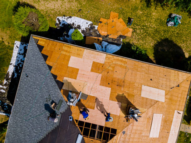 Best Roof Maintenance Services  in Hawaiian Gardens, CA